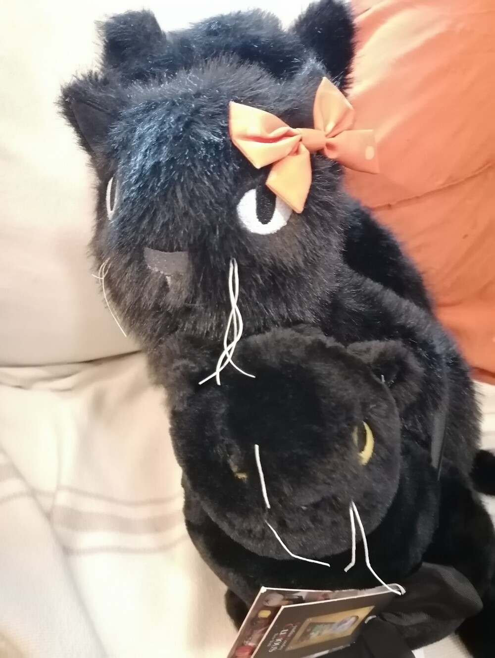 Halloween Curious Collection Black Cat Pillows